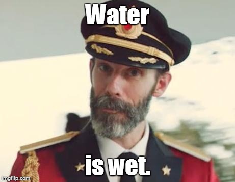 captain obvious water is wet